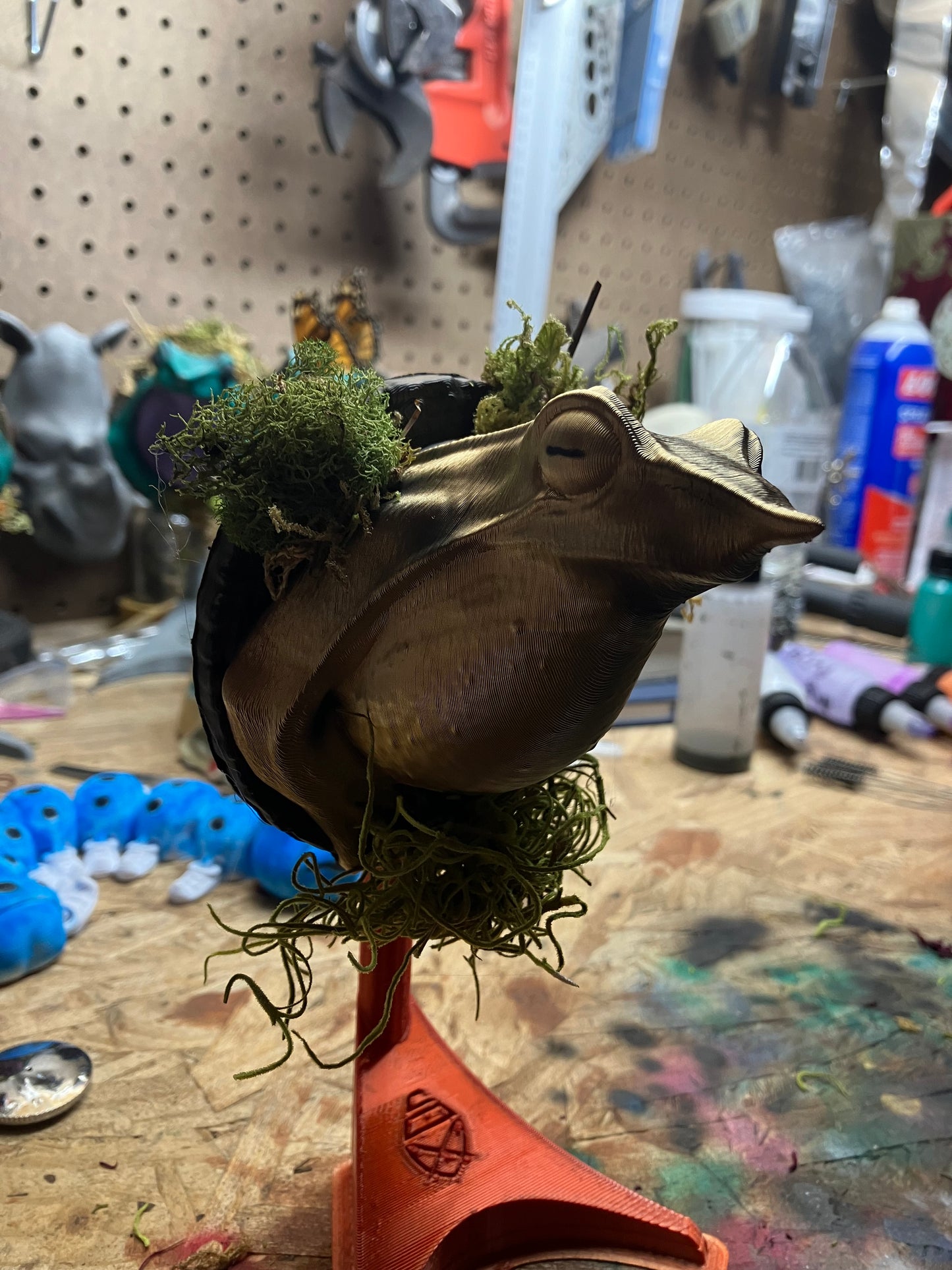 Golden frog 2