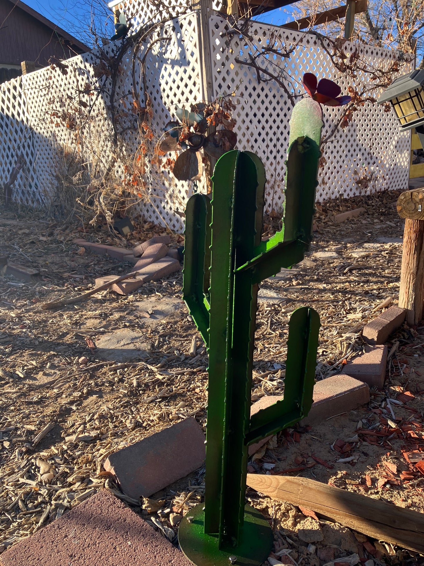 Cactus