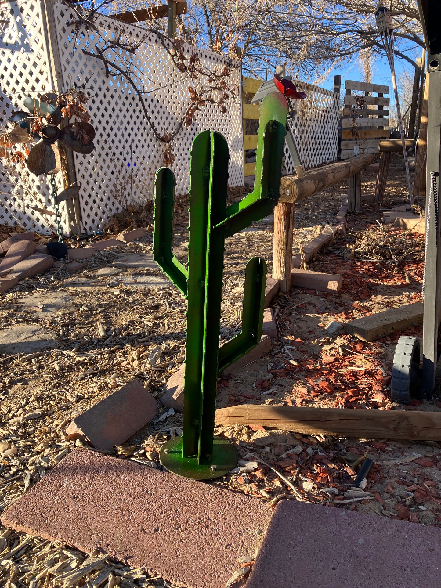 Cactus