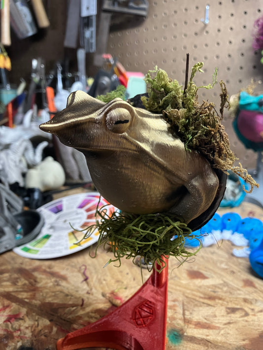 Golden frog 2