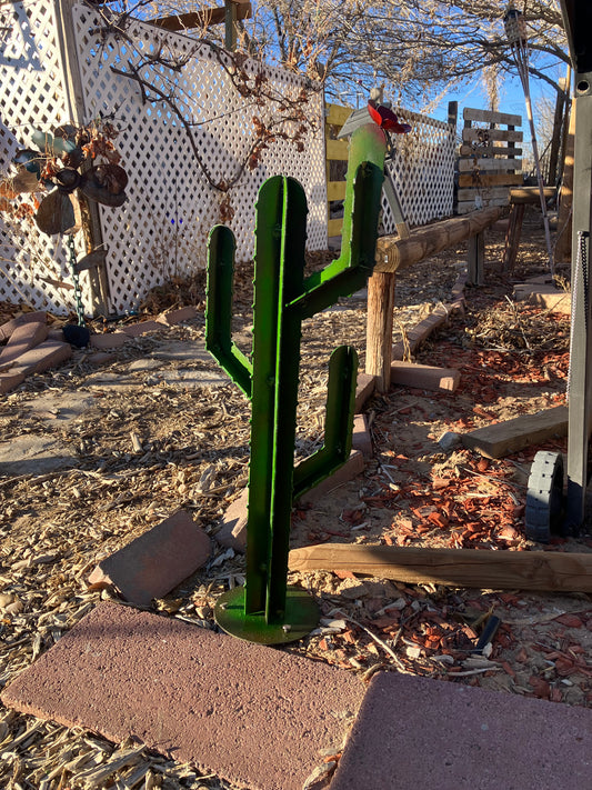 Cactus